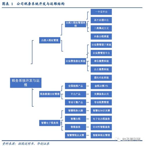税友股份 专注财税信息化，有望稳健成长